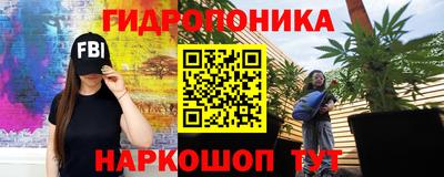крисы Ярославль