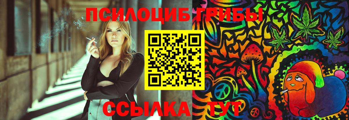 Нижневартовск  Галлюциногенные грибы Psilocybe  Вход с VPN 